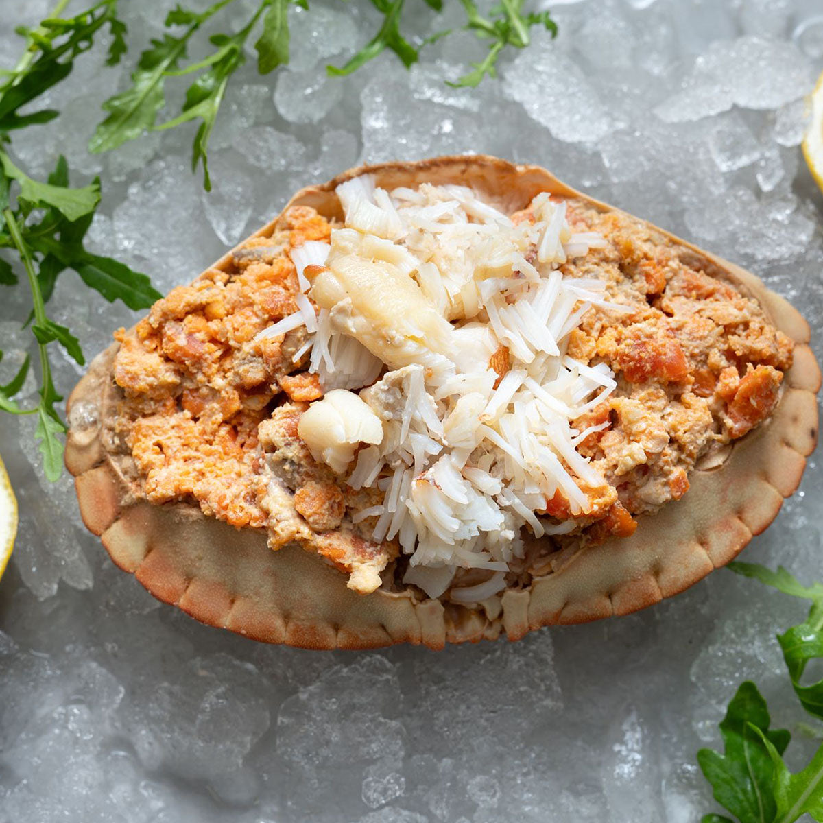 Large Dressed Crab Pengelly's Large Dressed Crab Pengelly's