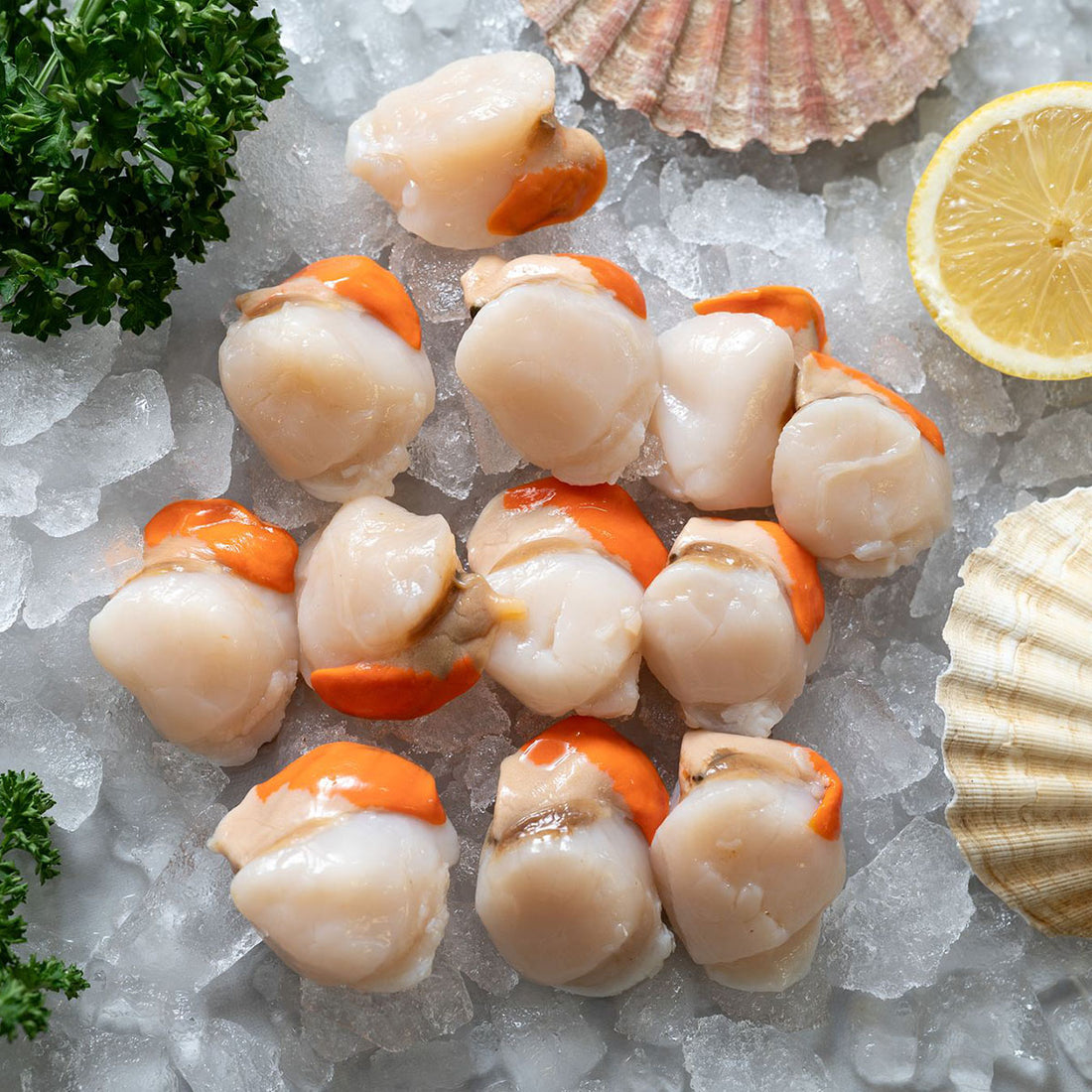 Pengelly's of Looe - Fresh Shellfish Since 1946